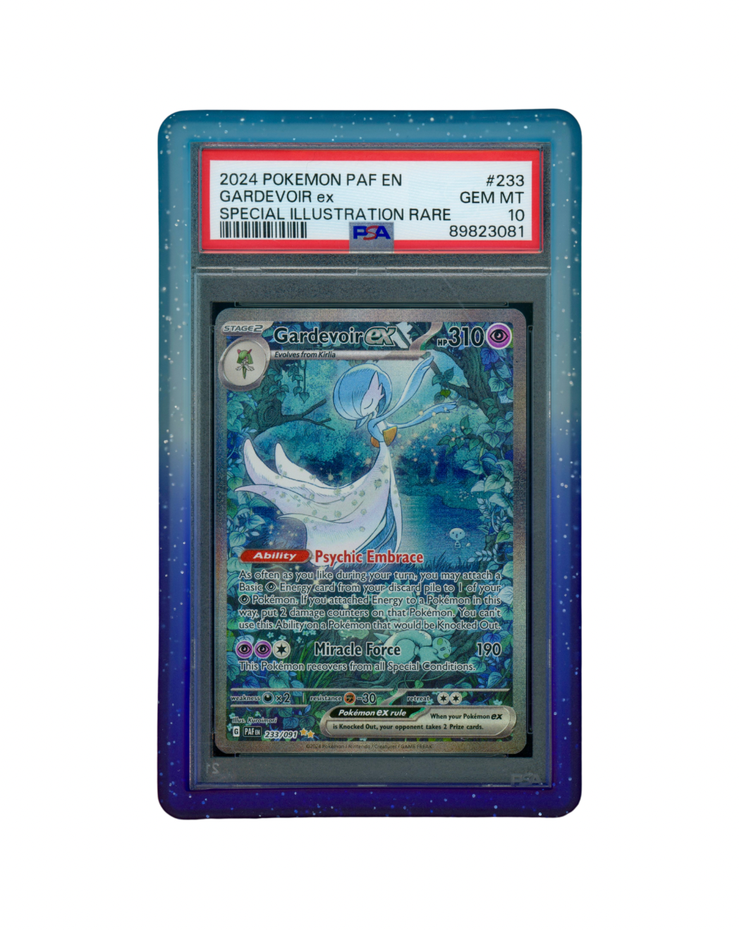 PSA Bumper Guards - Gradients